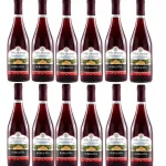 VINO OCUCAJE BORGOÑA 750MLx12