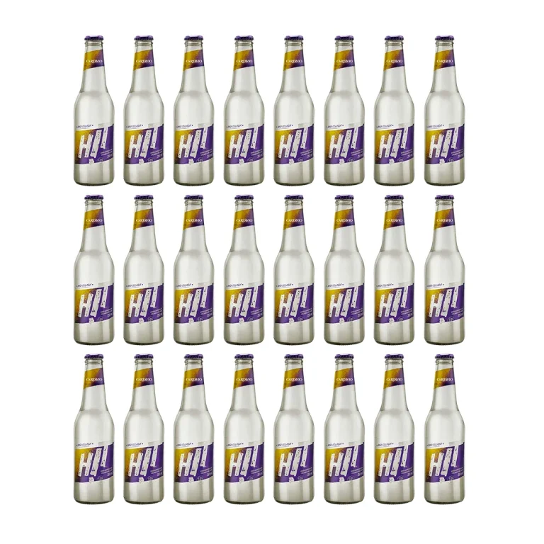 HIT PIÑA COLADA 355MLx24