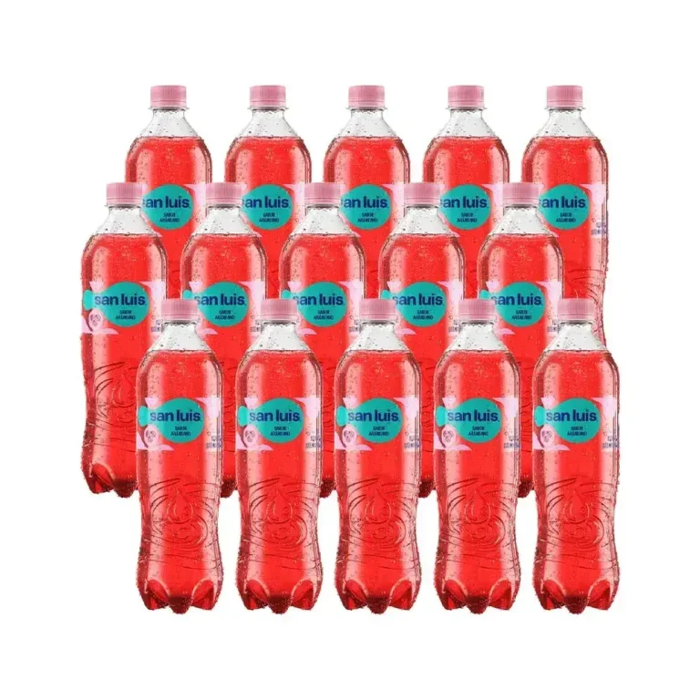 SAN LUIS ARANDANO 625ML X15