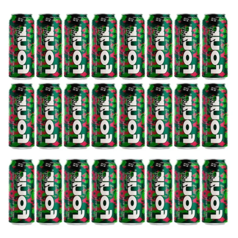 FOUR LOKO SANDIA 473ML X24